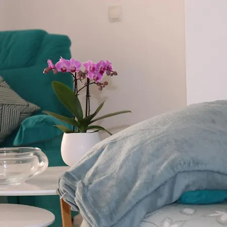 - 3 Apartment